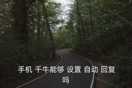 千牛手機(jī)設(shè)置自動(dòng)回復(fù),如何使用自動(dòng)回復(fù)功能?
