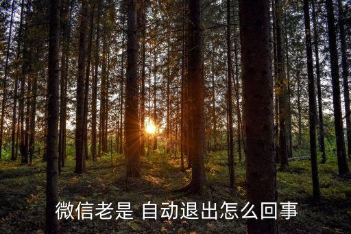 蘋果微信老是自動關(guān)閉,微信閃退或因內(nèi)存太大或安裝有病毒軟件