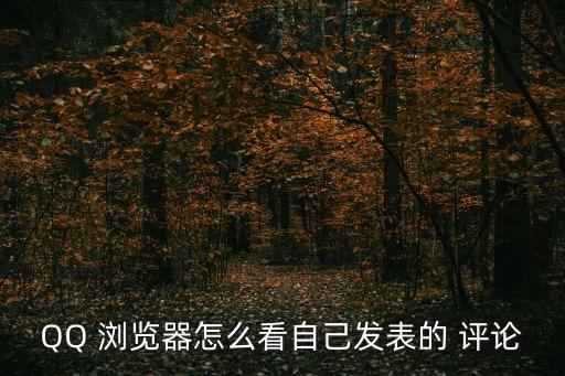 QQ 瀏覽器怎么看自己發(fā)表的 評論