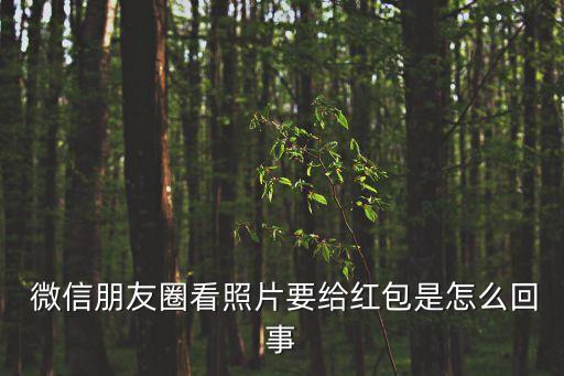 微信看片付費(fèi)自動(dòng)發(fā)送,紅包照片功能早前上線朋友圈看到模糊照