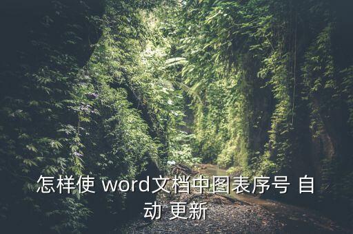 word 圖片不自動(dòng)更新,如何打開目錄word自動(dòng)更新?
