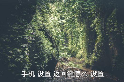手機(jī)自動點(diǎn)返回鍵怎么設(shè)置方法,手機(jī)怎么設(shè)置好!
