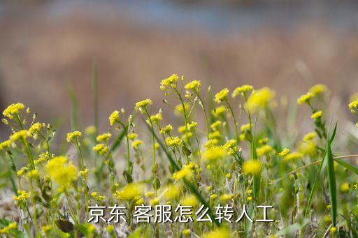 京東客服自動轉(zhuǎn)機器,如何轉(zhuǎn)人工客服?