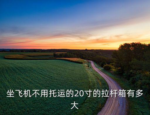 自動(dòng)跟隨行李箱視頻,行李包括輪椅和電動(dòng)助行器除外