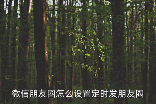 微信朋友圈怎么設(shè)置定時(shí)發(fā)朋友圈
