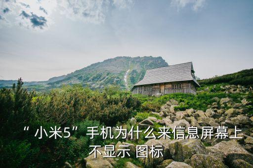 小米5圖標不能自動補位,小米手機自動關(guān)機的原因