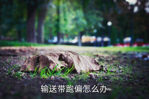 自動(dòng)腰帶方向,皮帶跑偏怎么辦?看這里!