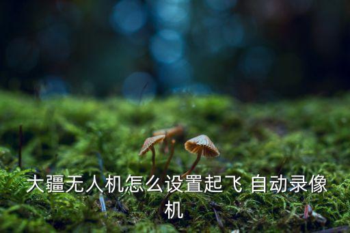大疆御取消自動返航,dji系列飛機(jī)均帶有自動返航返航功能