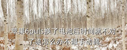 蘋果6puls換了電池后時間就不對了該怎么辦不想手動調