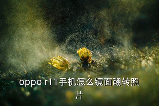 oppo r11手機(jī)怎么鏡面翻轉(zhuǎn)照片