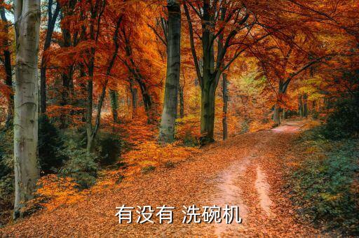 全自動(dòng)洗碗機(jī) m.baidu.com,洗碗機(jī)分類有哪幾種?
