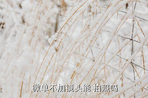 微單自動(dòng)拍照嗎,高端微單可滿足準(zhǔn)專業(yè)攝影要求