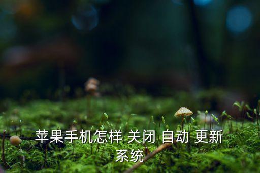  蘋果手機(jī)怎樣 關(guān)閉 自動 更新 系統(tǒng)