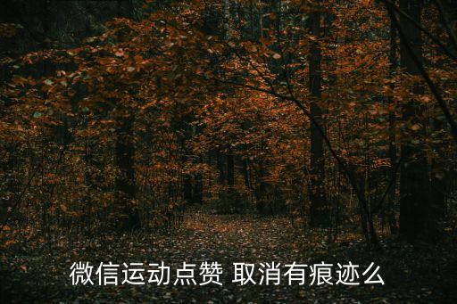 微信運(yùn)動點(diǎn)贊 取消有痕跡么
