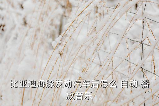 早上自動(dòng)播放的音響,如何設(shè)置開車自動(dòng)播放音樂?