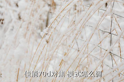  佳能70d對焦 模式怎么調(diào)