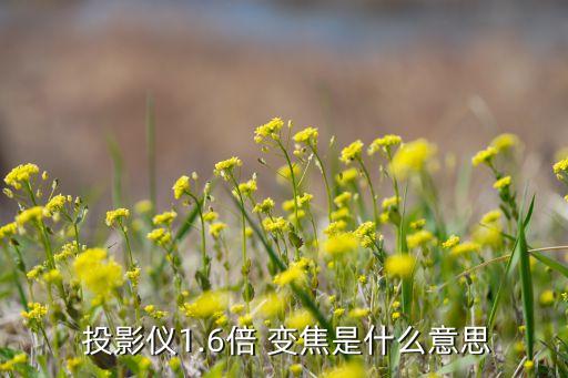 自動變焦投影儀,投影儀變焦功能不影響投影畫面的圖像質(zhì)量
