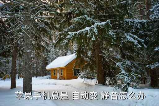 蘋果6sp靜音后自動(dòng)切換