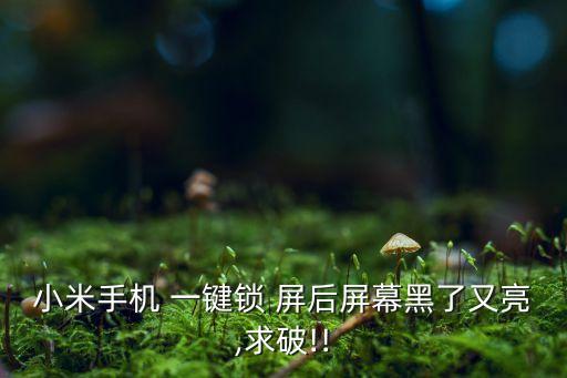 小米手機(jī) 一鍵鎖 屏后屏幕黑了又亮,求破!!