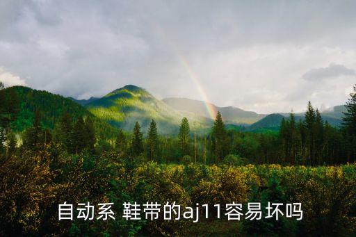  自動系 鞋帶的aj11容易壞嗎