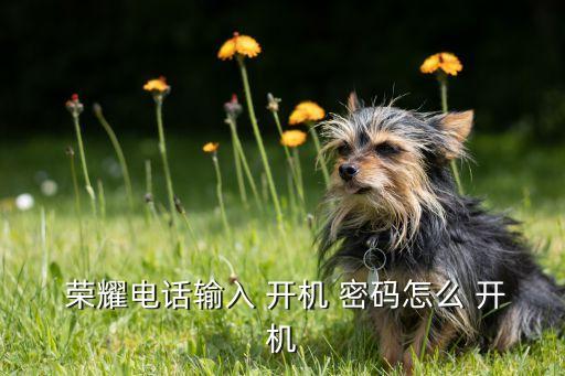  榮耀電話輸入 開機 密碼怎么 開機