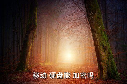 移動硬盤 自動加密,如何使用移動硬盤加密?記好四個關鍵點