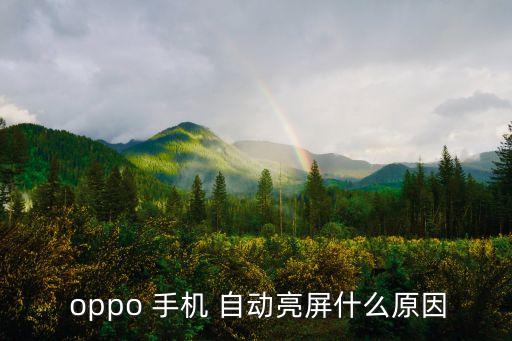  oppo 手機(jī) 自動亮屏什么原因