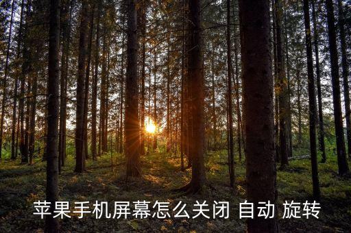 蘋果6s自動(dòng)旋轉(zhuǎn)在哪里?,蘋果手機(jī)關(guān)閉屏幕旋轉(zhuǎn)步驟如下