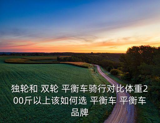 雙輪手扶自動(dòng)平衡車,什么牌子的兩輪平衡車質(zhì)量好?