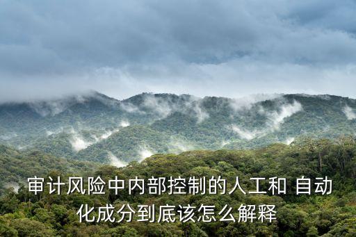 自動化會計審計平臺smacc,會計電腦化有何區(qū)別?