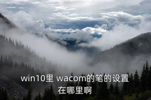 win10里 wacom的筆的設(shè)置在哪里啊