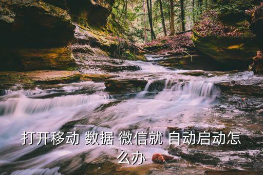 打開移動 數(shù)據(jù) 微信就 自動啟動怎么辦