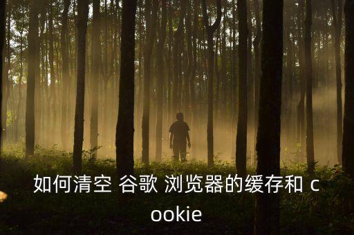 谷歌瀏覽器自動清除cookie插件