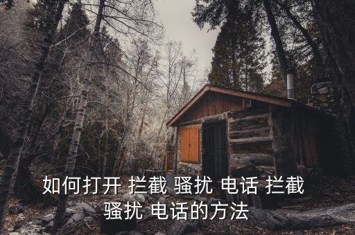 如何打開 攔截 騷擾 電話 攔截 騷擾 電話的方法