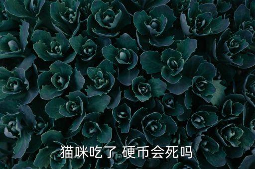 貓咪吃了 硬幣會死嗎