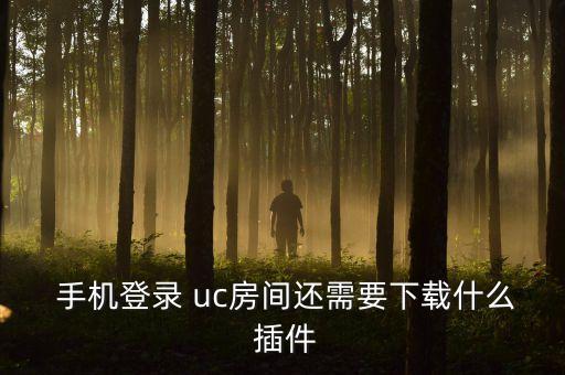  手機登錄 uc房間還需要下載什么 插件