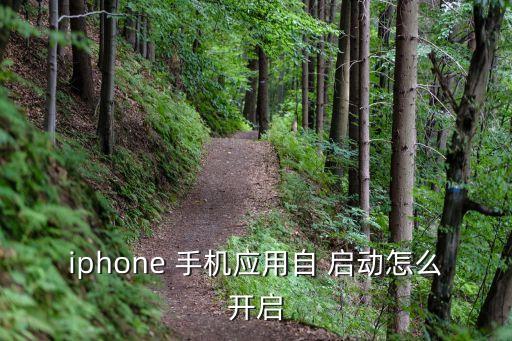 iphone 手機應用自 啟動怎么開啟