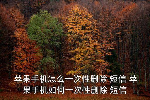  蘋果手機怎么一次性刪除 短信 蘋果手機如何一次性刪除 短信