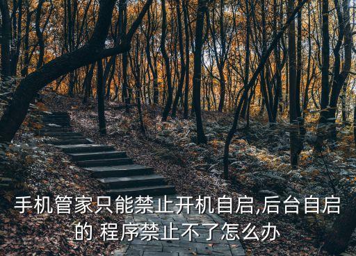 安卓 程序自動(dòng)啟動(dòng)不了怎么辦,怎么用360軟件自動(dòng)啟動(dòng)?