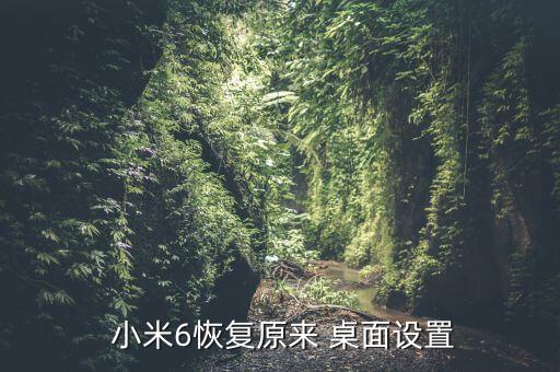 小米6桌面不自動(dòng)整理
