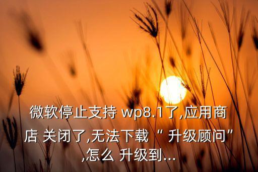 wp 關閉自動升級,木槿花開了!系統(tǒng)更新在哪里?