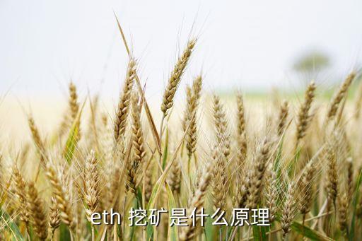 挖礦自動重啟,比特幣挖礦machine是怎么賺錢?別慌!