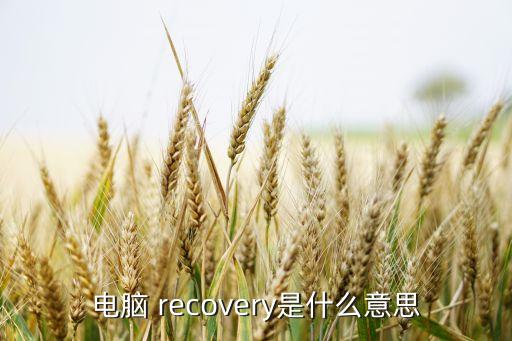 筆記本自動(dòng)rec,rec雙清怎么接入?