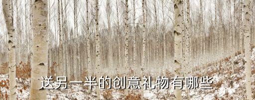 送另一半的創(chuàng)意禮物有哪些