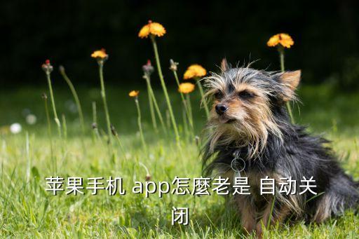  蘋果手機 app怎麼老是 自動關(guān)閉