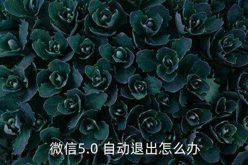  微信5.0 自動退出怎么辦