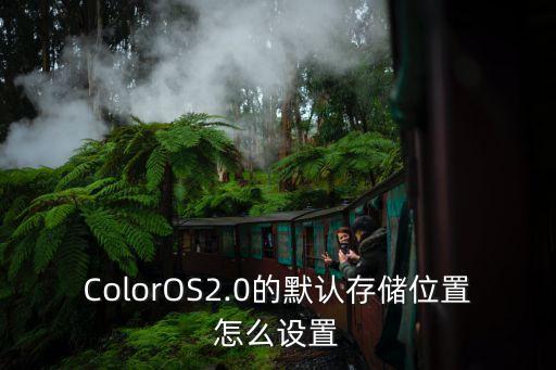 ColorOS2.0的默認(rèn)存儲(chǔ)位置怎么設(shè)置