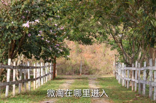 微淘在哪里進入