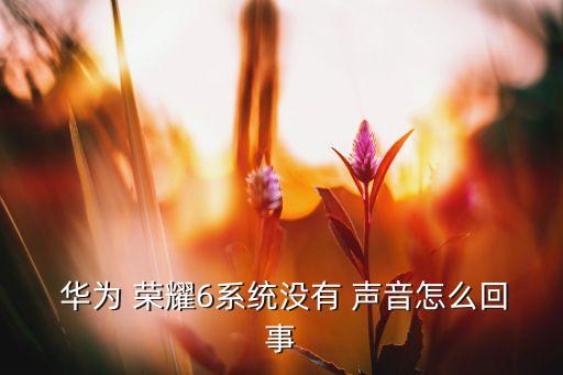 華為榮耀6自動(dòng)關(guān)閉聲音,華為榮耀6系統(tǒng)沒有聲音如何解決?