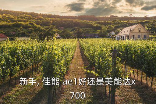 佳能ae1自動檔嗎,播放膠片單反不建議使用佳能手機